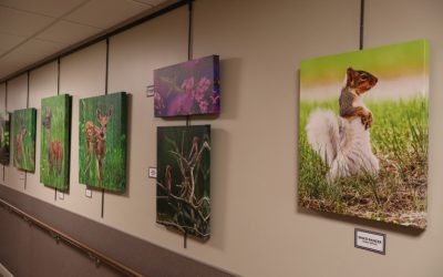 New Art Featured at BVRMC