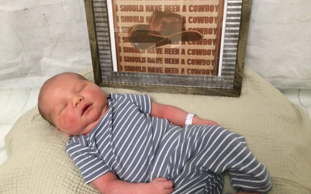 Baby Boy Brody