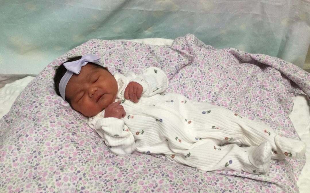 Baby Girl Liliana