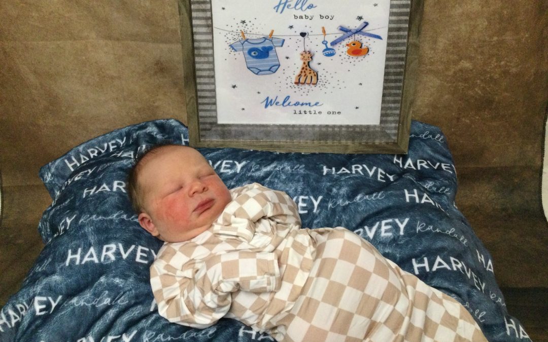 Baby Boy Harvey