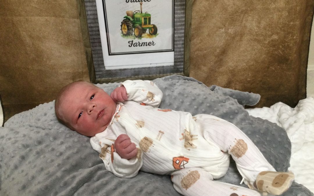 Baby Boy Knox