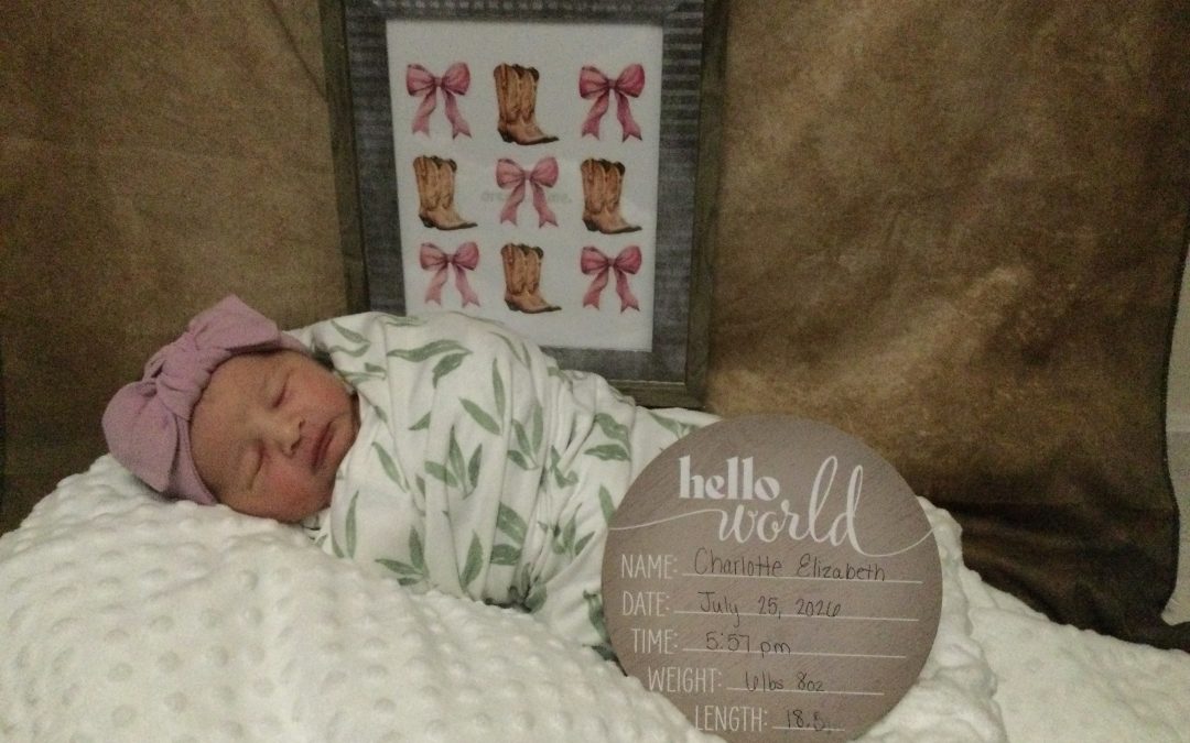 Baby Girl Charlotte