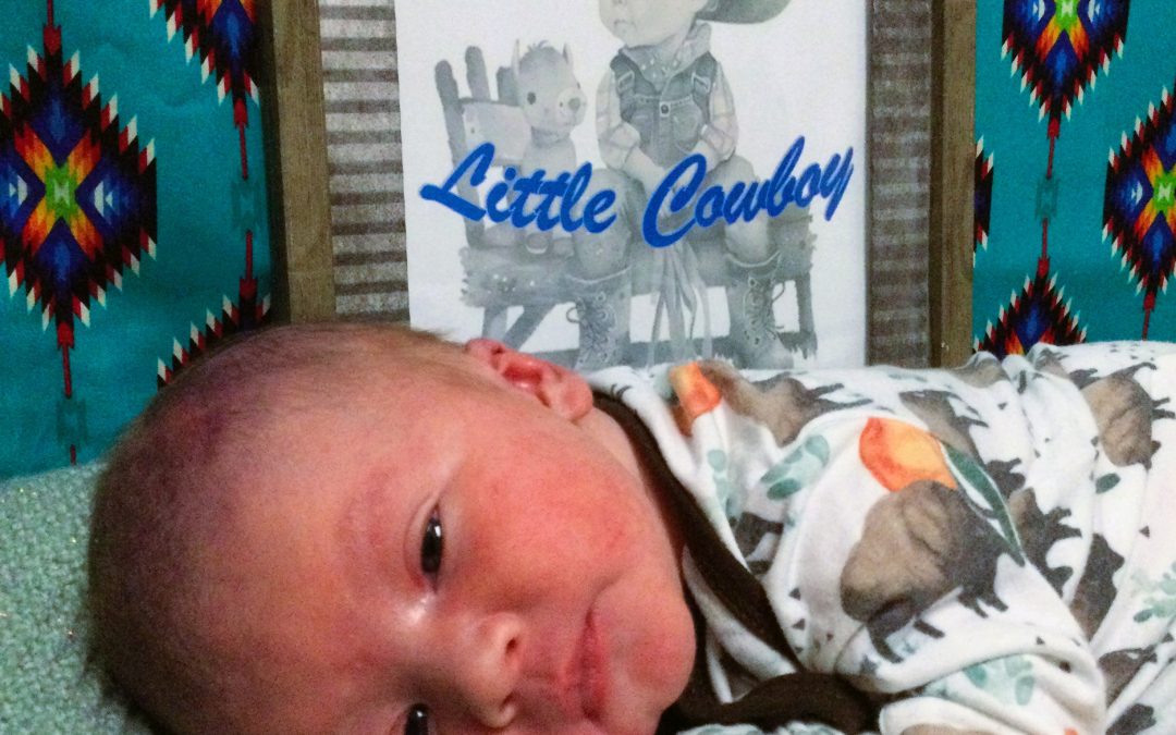 Baby Boy Walker