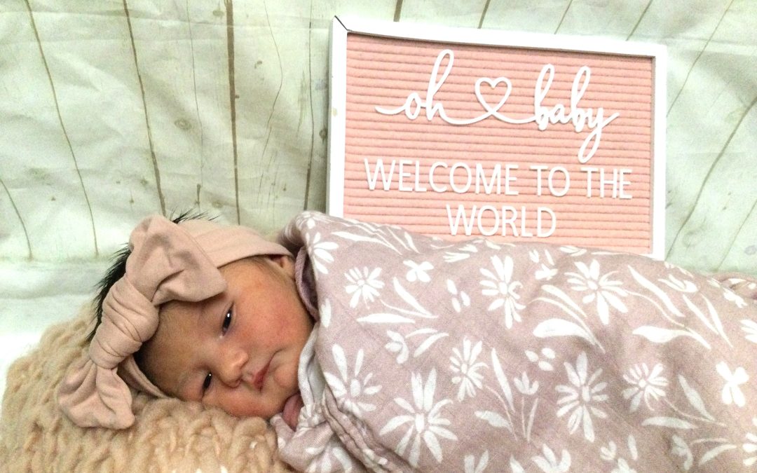 Baby Girl Willow