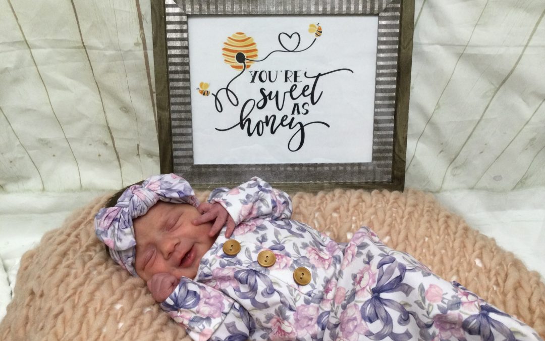 Baby Girl Kollins